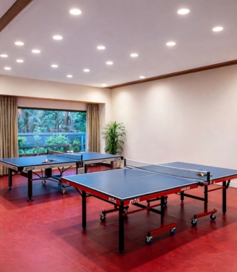 Table Tennis